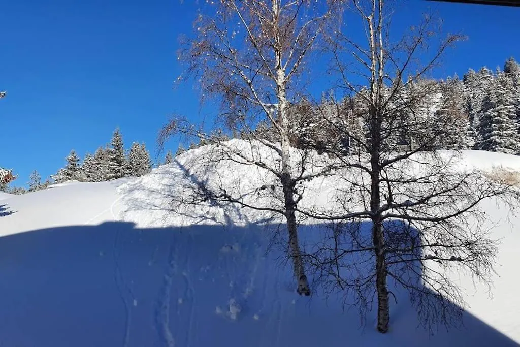 La Parenthese Chamroussienne - Proche Pistes De Ski Chamrousse France