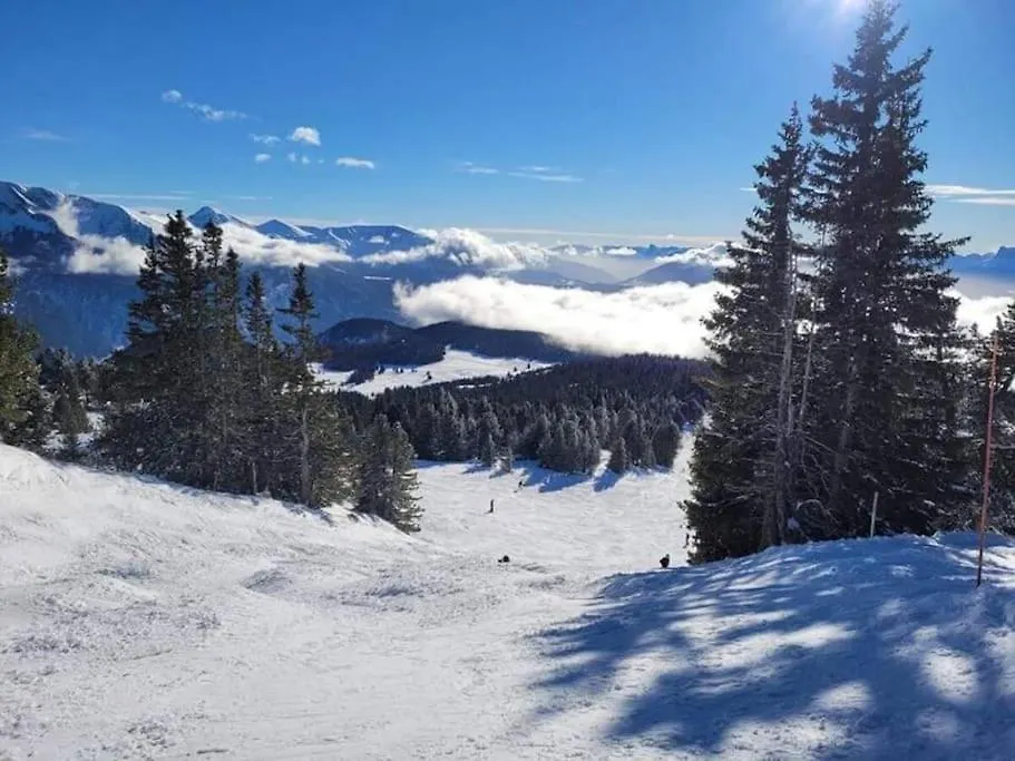 שמרוסה La Parenthese Chamroussienne - Proche Pistes De Ski צרפת